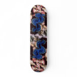 Giant clam (Tridacna maxima) Shell Skate Board Decks