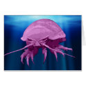 Giant Isopod Card