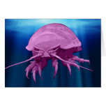 Giant Isopod Card