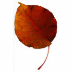 Giant Leaf IV Photo Cut Out
