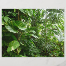 Giant Leaves Jungle View Plant Photograph Custom Flyer