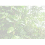 Giant Leaves Wash Out Jungle View Photo Cut Out