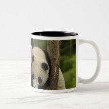Giant panda babies Ailuropoda melanoleuca) 3 Mug