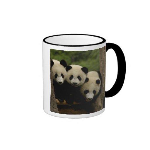 Giant panda babies Ailuropoda melanoleuca) 3 Mugs