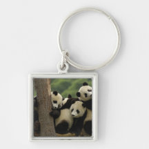 Giant panda babies Ailuropoda melanoleuca) 4 Key Chains