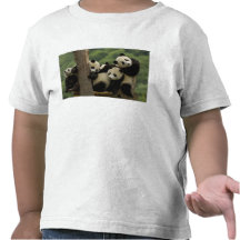 Giant panda babies Ailuropoda melanoleuca) 4 Tee Shirt