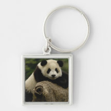 Giant panda baby Ailuropoda melanoleuca) 7 Key Chain