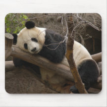 Giant Panda Bear & Baby Panda Mousepad