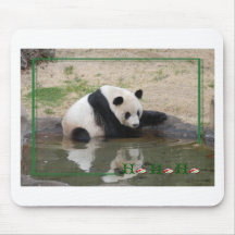 Giant Panda Bear & Baby Pandas mousepads