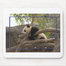 Giant Panda Bear & Baby Pandas mousepads