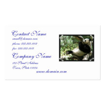 Giant Panda Bear Business Cards