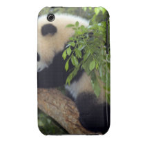 Giant Panda Bear Case-Mate Case Case-mate Iphone 3 Cases