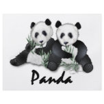 Giant Panda Bears flyers