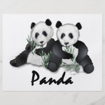 Giant Panda Bears Full Color Flyer