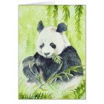 Giant Panda cards
