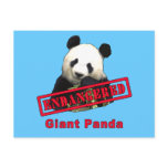 Giant Panda Endangered products postcards