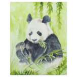 Giant Panda flyer