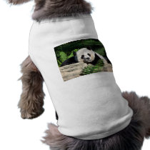 Giant Panda Napping Pet Tee Shirt