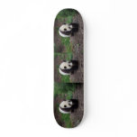 Giant Panda Photo Skateboard
