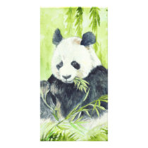 Giant Panda photocards