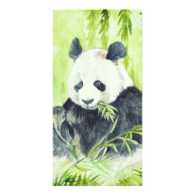 Giant Panda photocards Photo Greeting Card