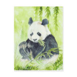 Giant panda postcard