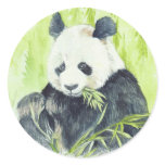 Giant Panda sticker