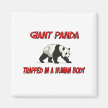 Giant Panda trapped in a human body Fridge Magnets