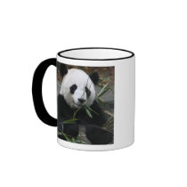 Giant pandas at the Giant Panda Protection & Coffee Mugs
