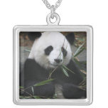 Giant pandas at the Giant Panda Protection & Personalised Necklace
