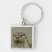 Giant River Otter Keychain