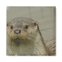 Giant River Otter Magnet