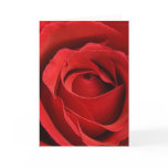 Giant Rose Romantic Valentine cards