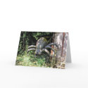 Giant Spider cards