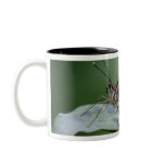 Giant Swallowtail Butterfly Coffee Mug