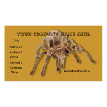 Giant Taratula business card