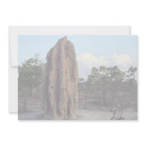 Giant termite mound, Northern Territory, Australia Personalized Announcement