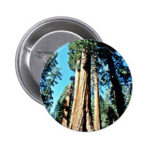 Giant Trees - Sequoia National Forest Pins