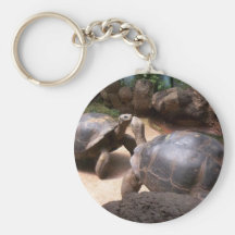 Giant Turtle Kiss Keychain