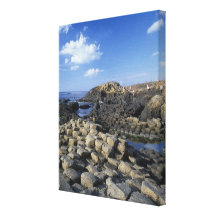 Giants Causeway, County Antrim, Northern Gallery Wrapped Canvas