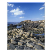 Giants Causeway, County Antrim, Northern Photo Art