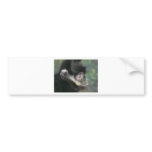 gibbon 2 bumper stickers