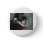 gibbon 2 buttons