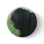 gibbon 2 buttons