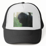 gibbon 2 hats