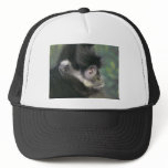 gibbon 2 hats