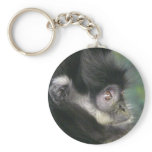 gibbon 2 keychains