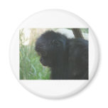 gibbon 2 magnets