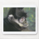 gibbon 2 mousepads