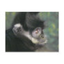 gibbon 2 postcards